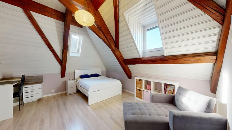 Majestic villa in the heart of Fribourg (21)