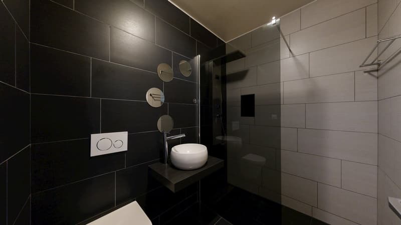 Majestic villa in the heart of Fribourg (17)