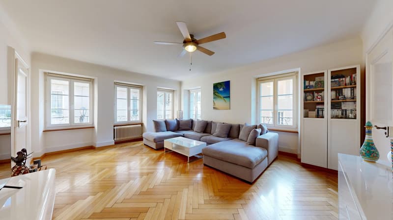 Majestic villa in the heart of Fribourg (16)
