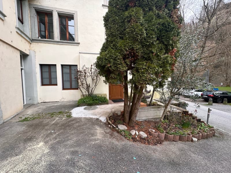 Appartement entièrement rénové avec jardin privatif au cœur de la Basse-Ville de Fribourg (1)