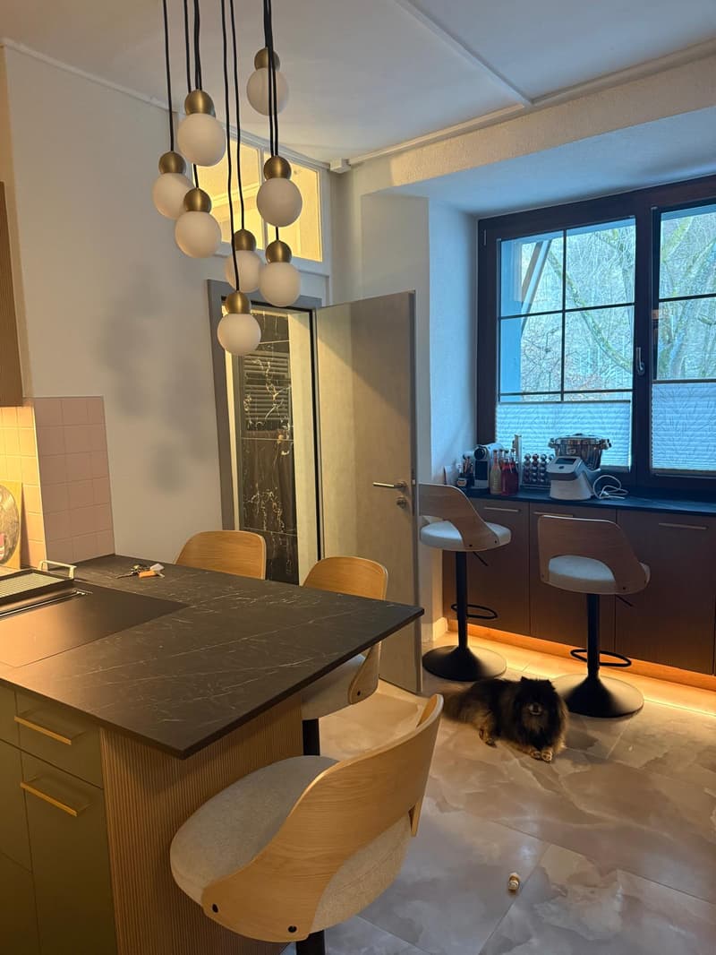 Appartement entièrement rénové avec jardin privatif au cœur de la Basse-Ville de Fribourg (3)