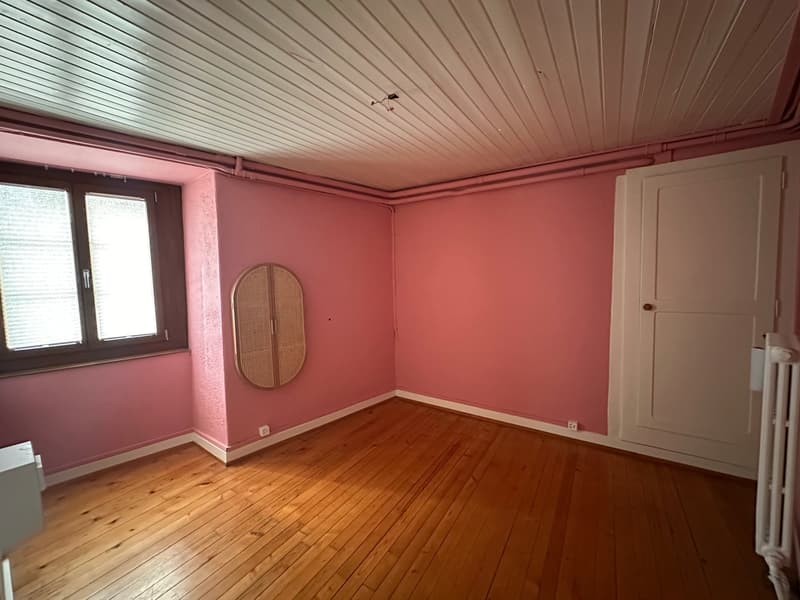 Appartement entièrement rénové avec jardin privatif au cœur de la Basse-Ville de Fribourg (2)