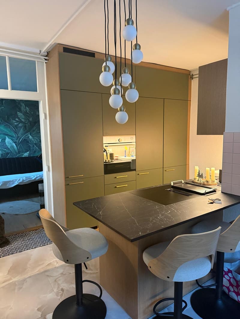 Appartement entièrement rénové avec jardin privatif au cœur de la Basse-Ville de Fribourg (4)