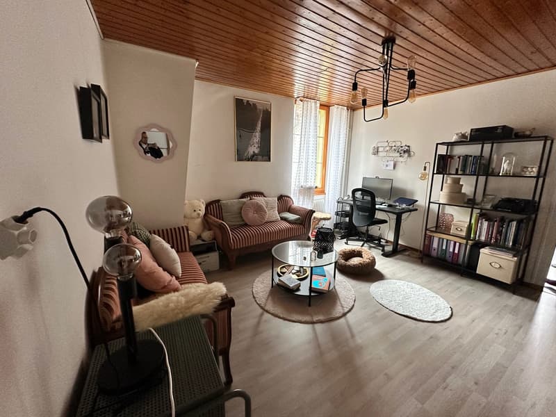 Appartement de rendement au cœur du centre historique de Fribourg (1)