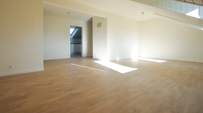 Appartement de 4.5 pièces rénové avec vue dégagée sur les Préalpes (8)