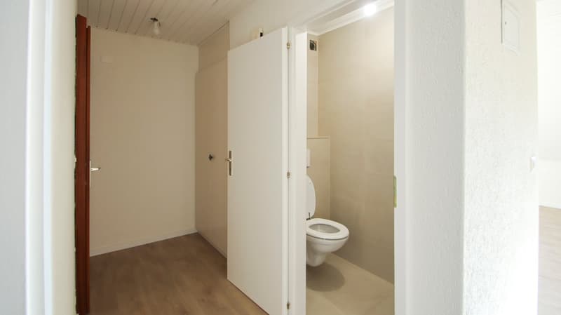 Appartement de 4.5 pièces rénové avec vue dégagée sur les Préalpes (13)