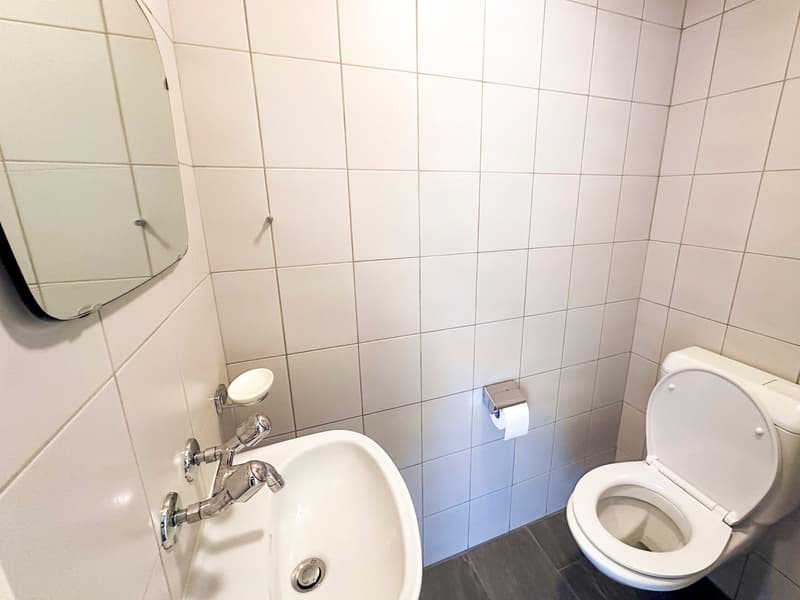 Appartement de 4.5 pièces sous les toits avec séjour entièrement repensé (13)