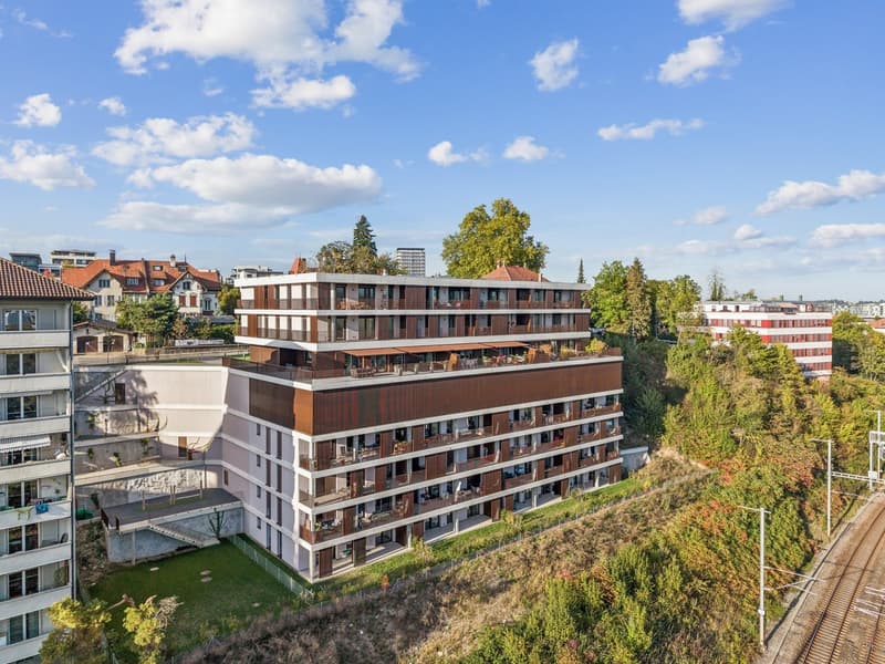 5.5 pièces avec grande terrasse et vue sur les Préalpes (7)