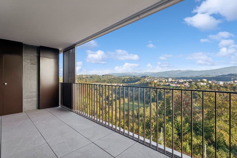 5.5 pièces avec grande terrasse et vue sur les Préalpes (2)