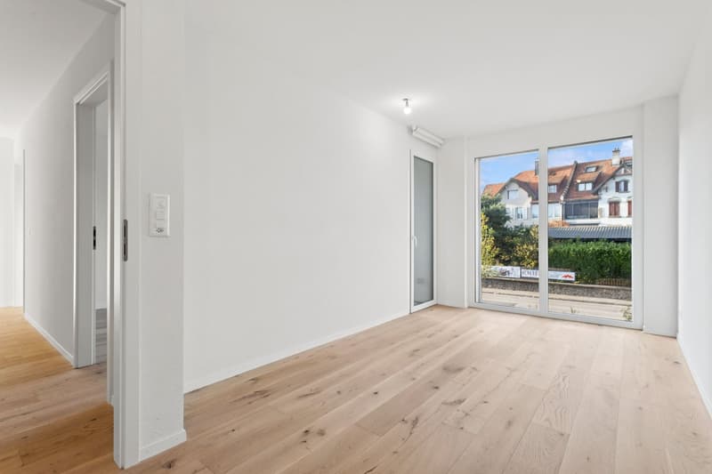 4.5 pièces baigné de lumière, avec terrasse plein sud (2)