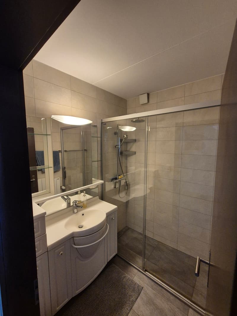 Charmantes 4.5-Zimmer-Dachwohnung in Saint-Léonard (11)