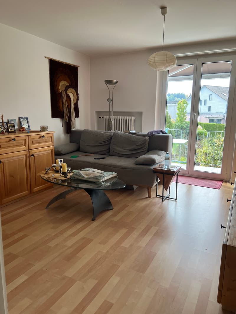 Charmantes 5.5-Zimmer-Zweifamilienhaus in Langenthal (3)