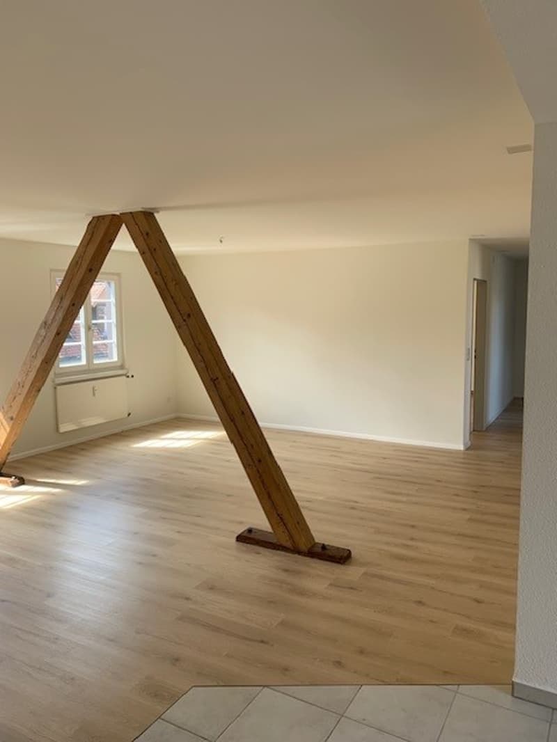 3.5-Room Maisonette Apartment with Large Panoramic Terrace (6)