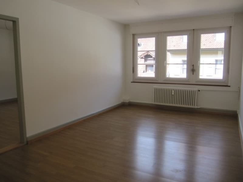 Grosszügige 3-Zimmer-Wohnung oder Gewerberäumlichkeiten  (ohne Balkon) (3)