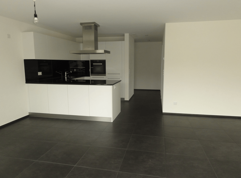Appartamento moderno 4.5 locali sulla strada principale a Reinach (5)