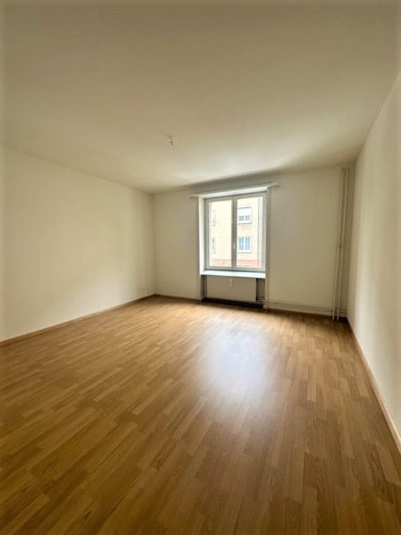 Appartamento di 3 locali luminoso a Basilea (6)
