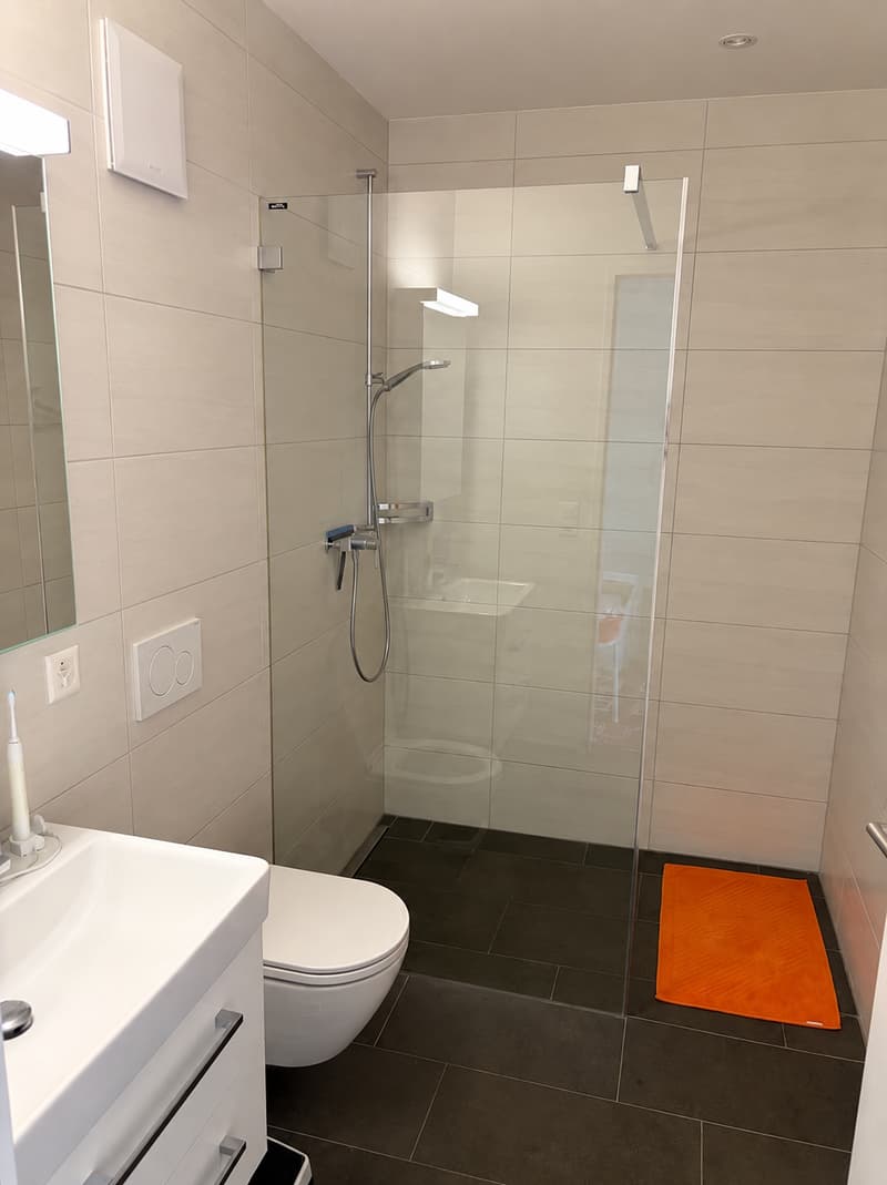 Moderne 2.5-Zimmer-Wohnung mit Balkon in Reinach BL (3)