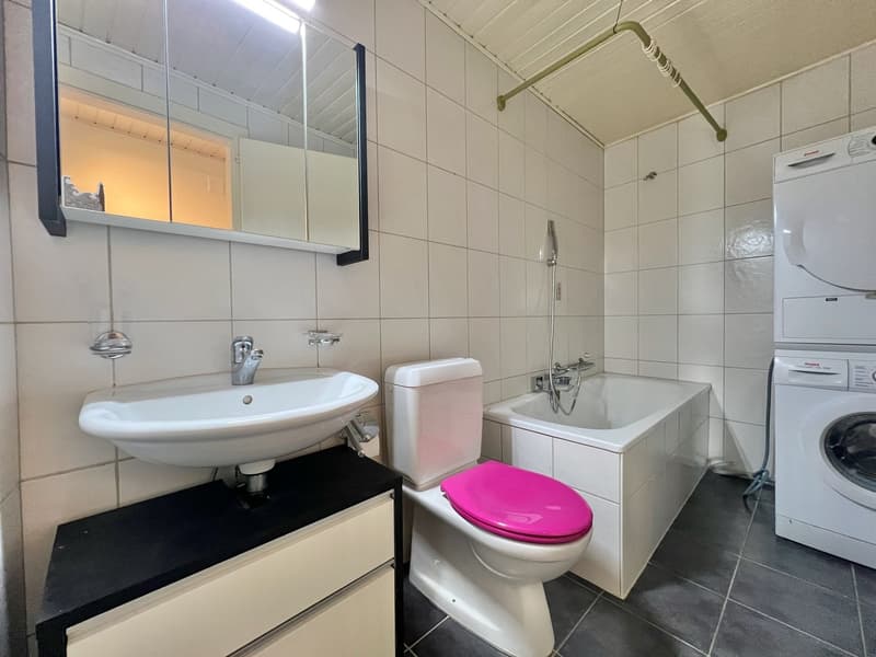 Atypisches Appartement groß 2,5 Zimmer mit großer Terrasse (7)