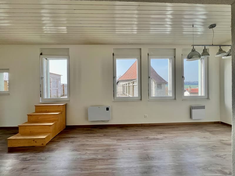 Atypisches Appartement groß 2,5 Zimmer mit großer Terrasse (2)