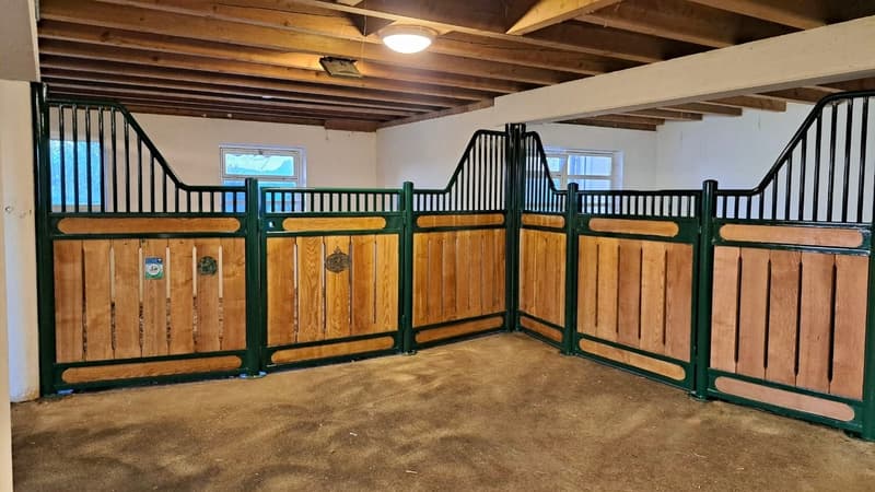 Renovated equestrian farm with 220m² living space + paddock (6)