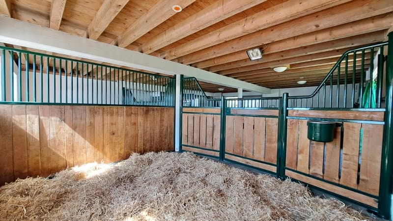 Renovated equestrian farm with 220m² living space + paddock (5)