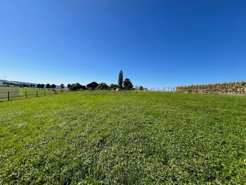 Renovated equestrian farm with 220m² living space + paddock (13)