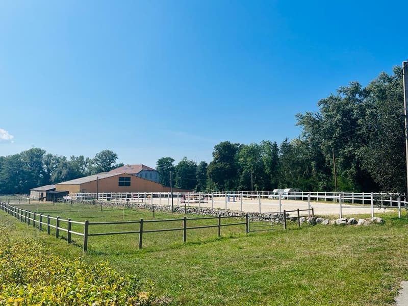RARE- Luxury Equestrian Property on the Geneva Border (9)
