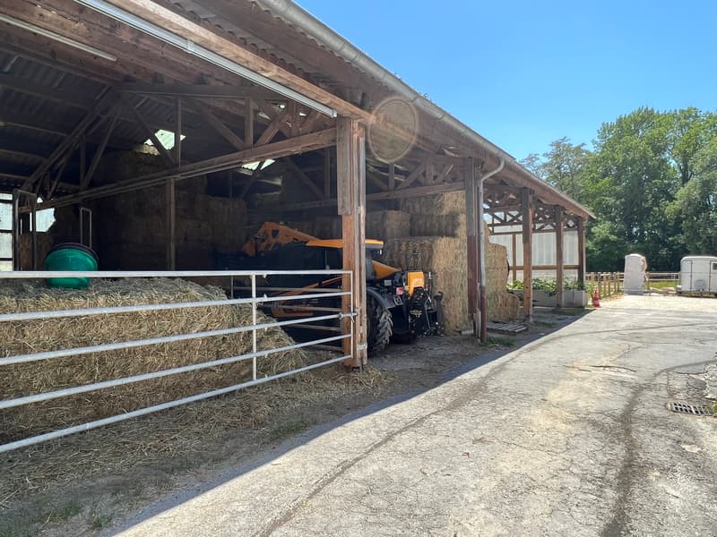 RARE- Luxury Equestrian Property on the Geneva Border (6)