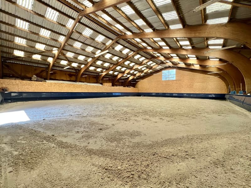 RARE- Luxury Equestrian Property on the Geneva Border (7)