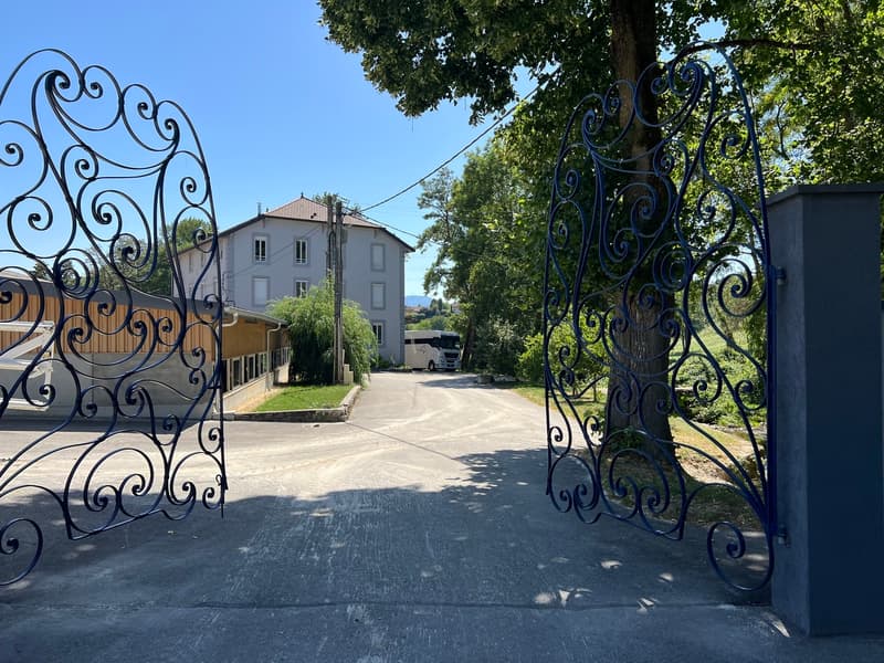 RARE- Luxury Equestrian Property on the Geneva Border (2)