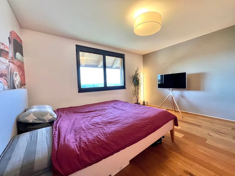 Exceptional and fully renovated farm with negative charges (9)