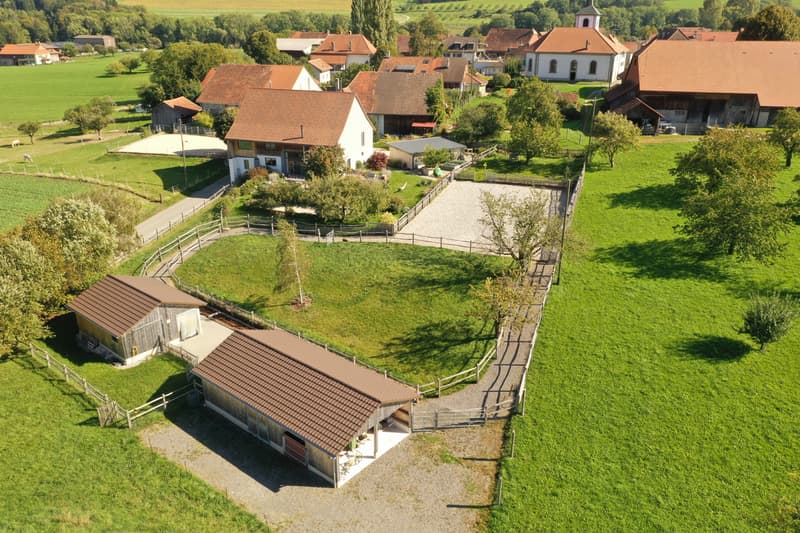 Exceptional and fully renovated farm with negative charges (13)