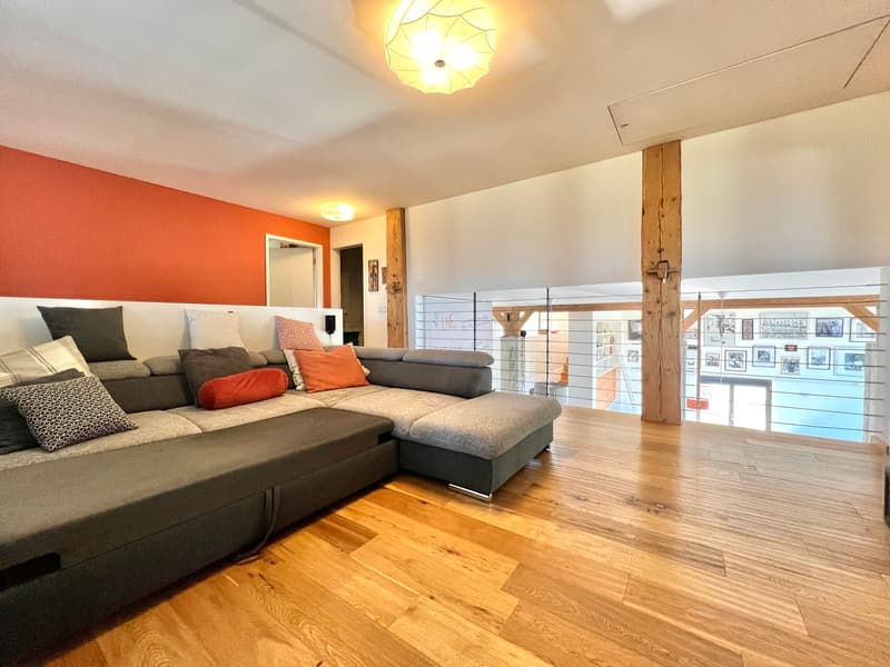 Exceptional and fully renovated farm with negative charges (11)