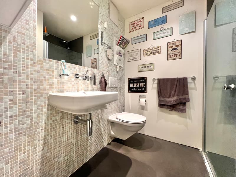 Exceptional and fully renovated farm with negative charges (10)