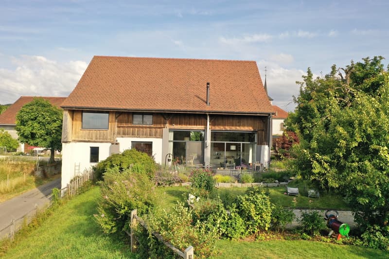Exceptional and fully renovated farm with negative charges (2)