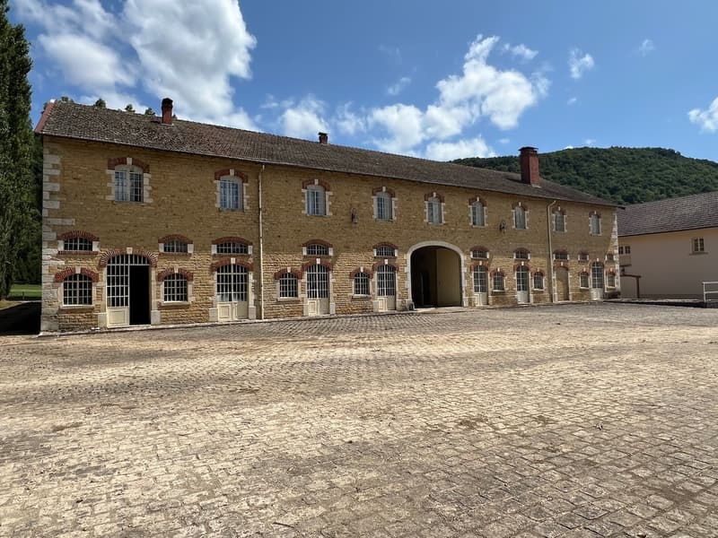 Magnificent Castle on 132 hectares (8)