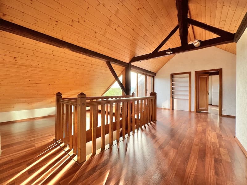 Farm converted into 2 spacious apartments (5)