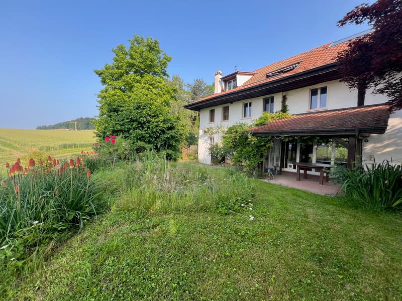 Farm converted into 2 spacious apartments (2)