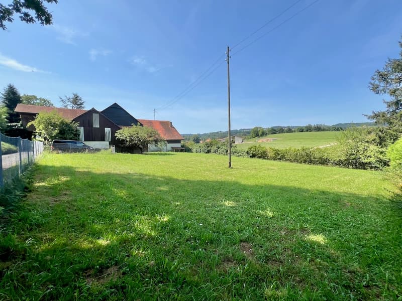 Beeindruckende Farm (5)