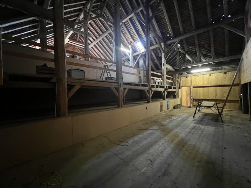 Beeindruckende Farm (12)