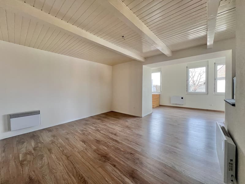 Appartamento atipico grande 2,5 locali con grande terrazza (3)