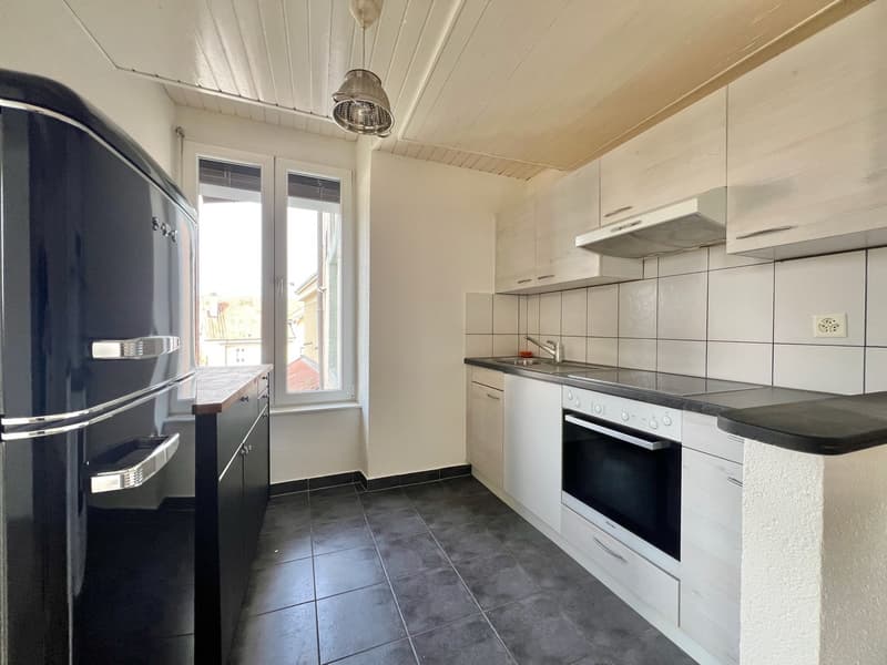 Appartamento atipico grande 2,5 locali con grande terrazza (4)