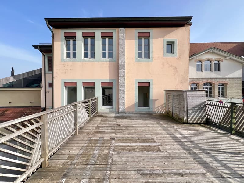 Appartamento atipico grande 2,5 locali con grande terrazza (8)