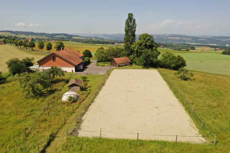 Azienda agricola equina ristrutturata di 220m² abitabili + paddock (2)