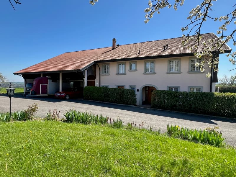 Azienda agricola equina ristrutturata di 220m² abitabili + paddock (4)