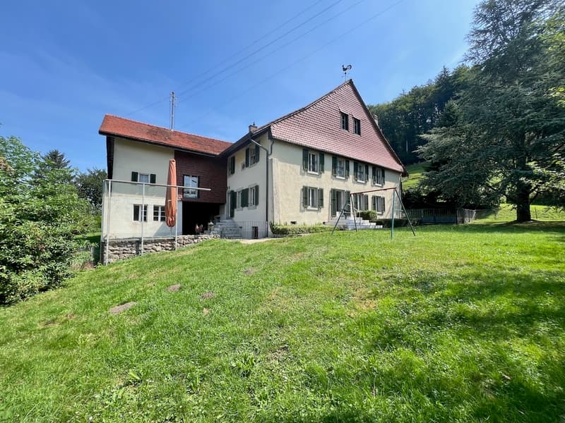 Azienda agricola impressionante (4)