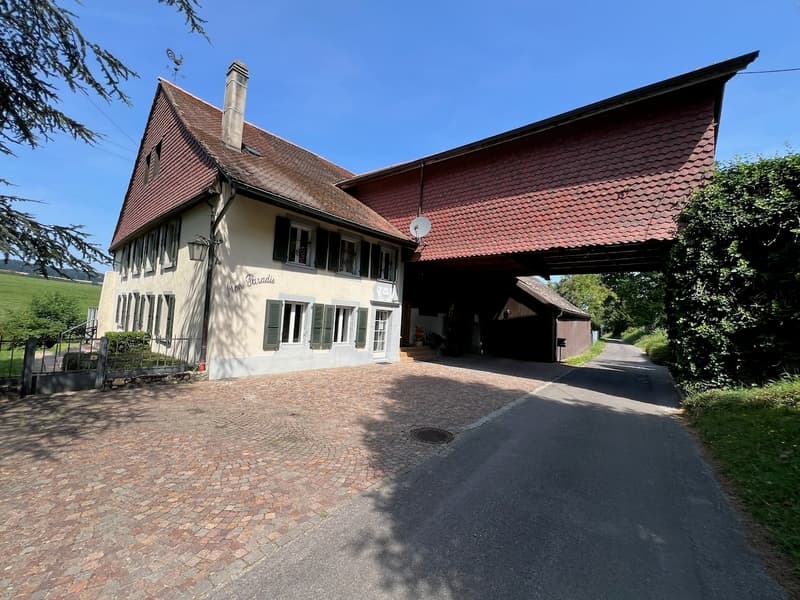 Azienda agricola impressionante (2)
