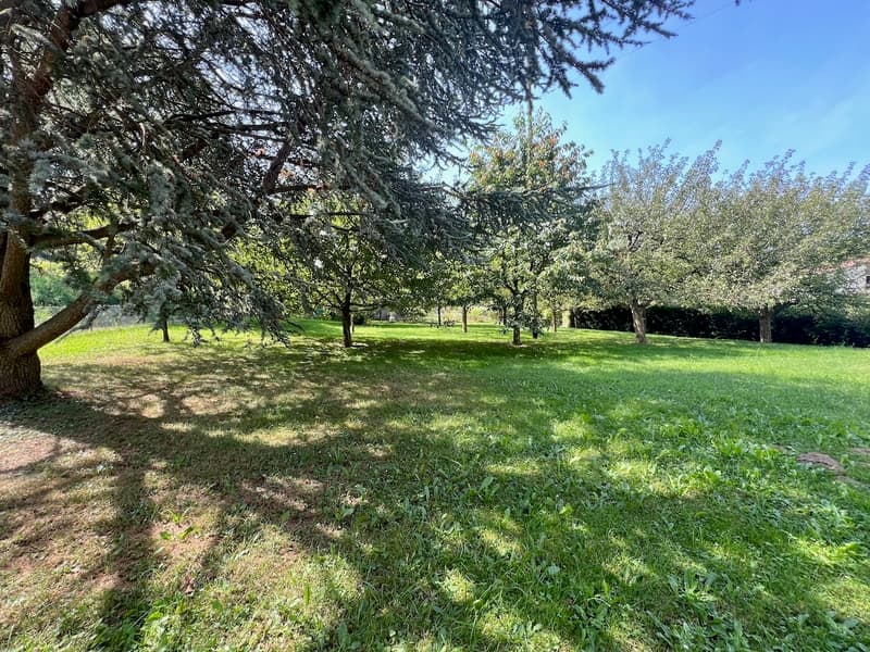 Azienda agricola impressionante (3)
