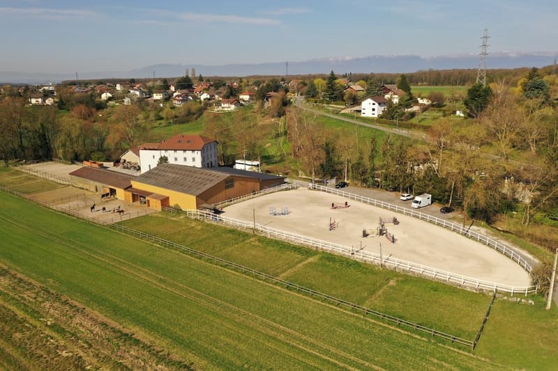 Seltenes Luxus-Pferdeanwesen an der Genfer Grenze (1)