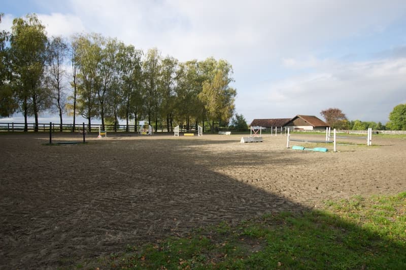 Centre équestre  proche de Lausanne (2)